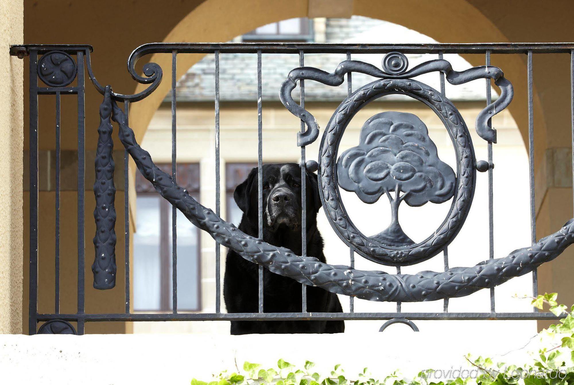 Oheka Castle Hotel & Estate Huntington Exteriör bild